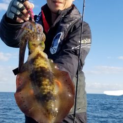 ソルトウォーターガイドフレンズ 釣果