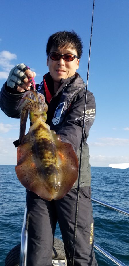 ソルトウォーターガイドフレンズ 釣果