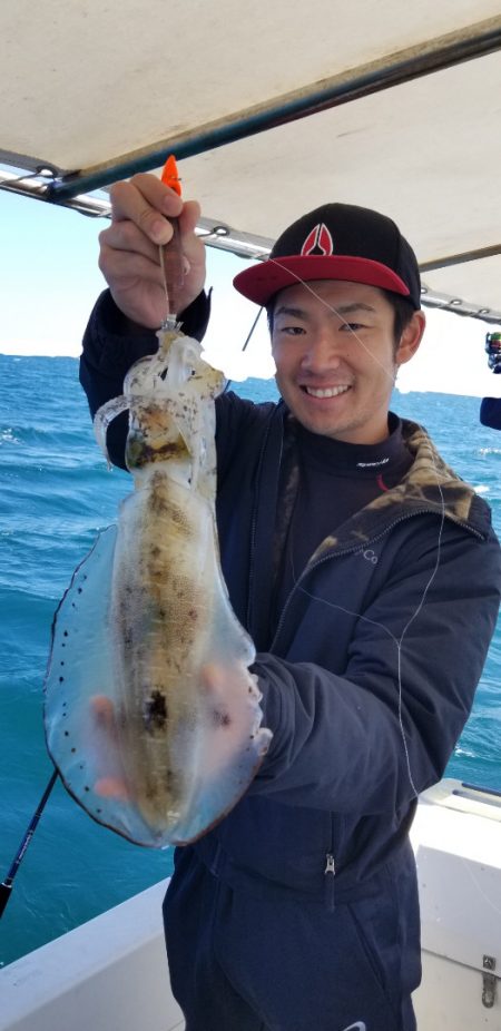 ソルトウォーターガイドフレンズ 釣果