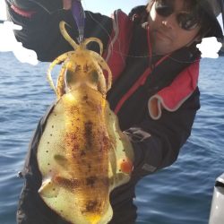 ソルトウォーターガイドフレンズ 釣果