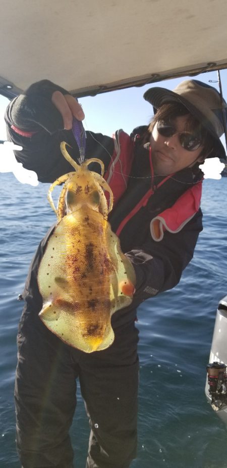 ソルトウォーターガイドフレンズ 釣果