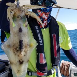 ソルトウォーターガイドフレンズ 釣果