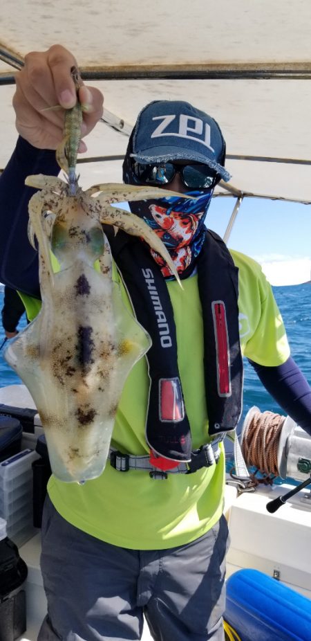 ソルトウォーターガイドフレンズ 釣果