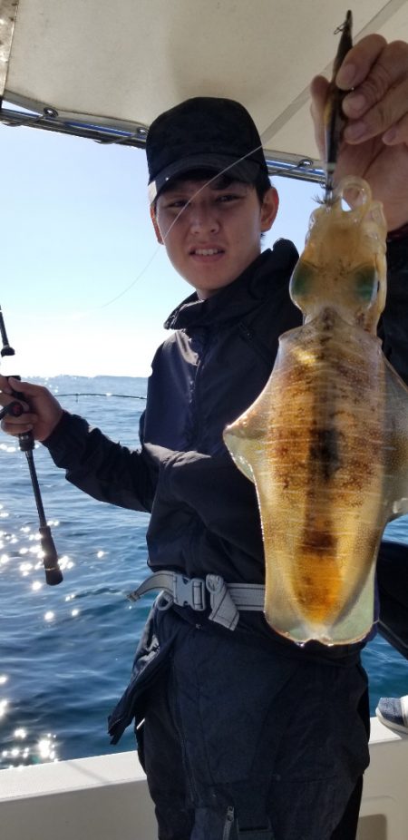 ソルトウォーターガイドフレンズ 釣果