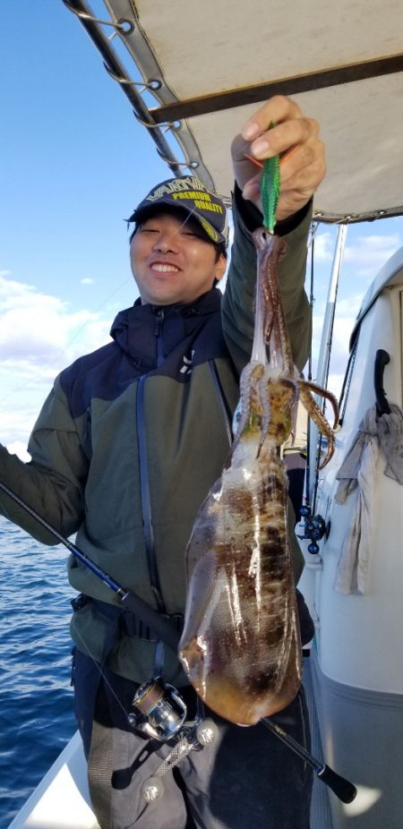 ソルトウォーターガイドフレンズ 釣果