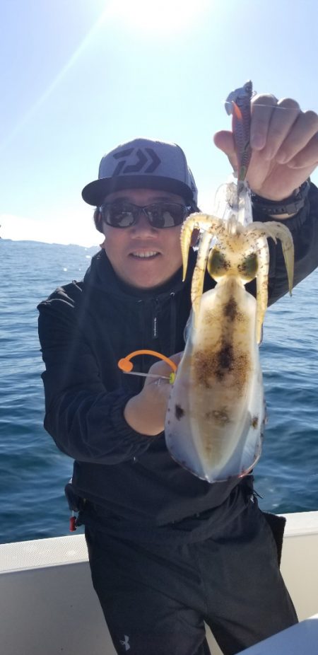 ソルトウォーターガイドフレンズ 釣果