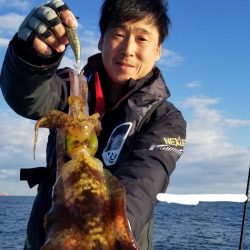 ソルトウォーターガイドフレンズ 釣果