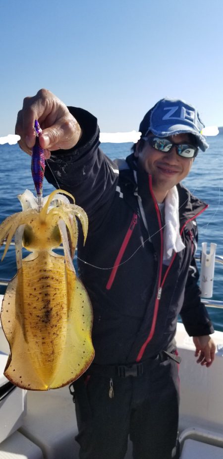 ソルトウォーターガイドフレンズ 釣果