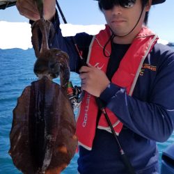 ソルトウォーターガイドフレンズ 釣果