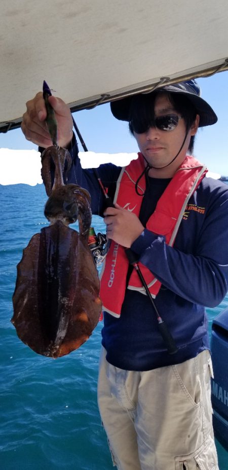 ソルトウォーターガイドフレンズ 釣果