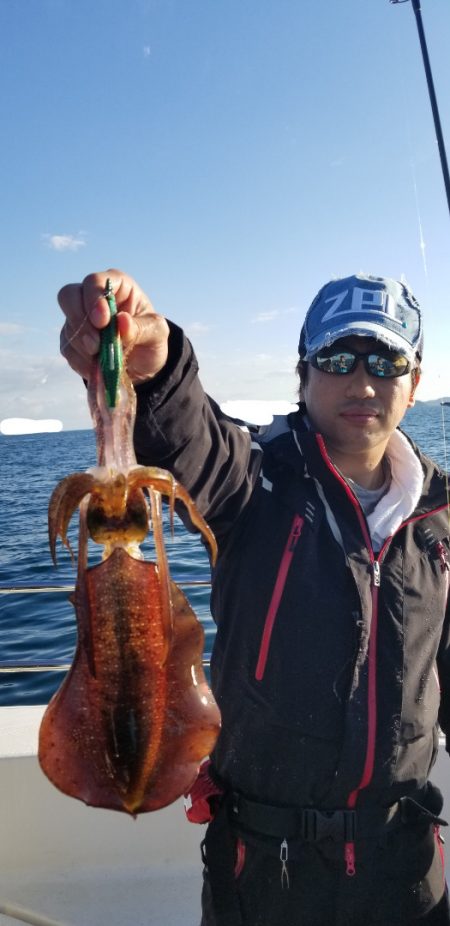 ソルトウォーターガイドフレンズ 釣果