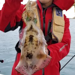 ソルトウォーターガイドフレンズ 釣果