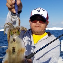 ソルトウォーターガイドフレンズ 釣果