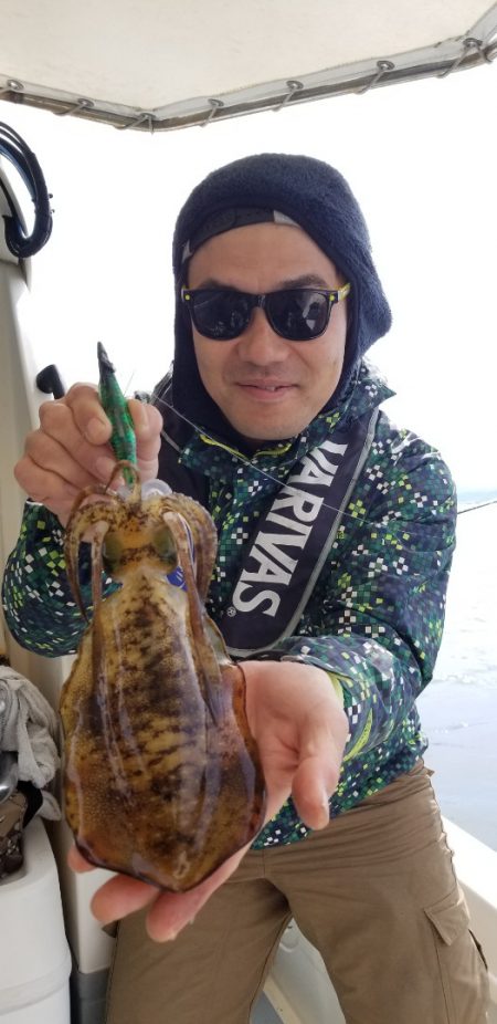 ソルトウォーターガイドフレンズ 釣果