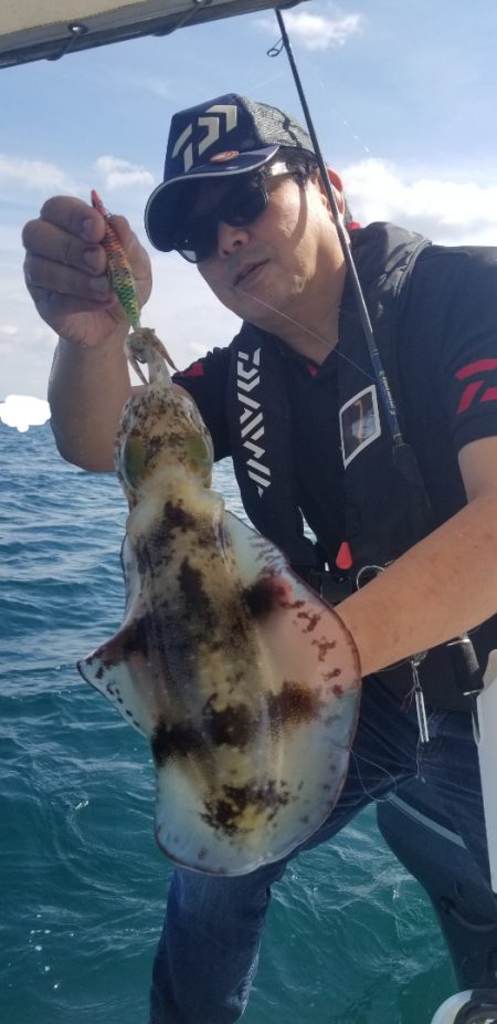 ソルトウォーターガイドフレンズ 釣果