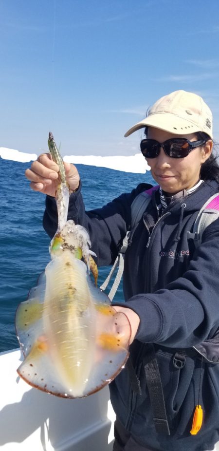 ソルトウォーターガイドフレンズ 釣果