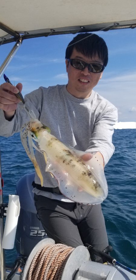 ソルトウォーターガイドフレンズ 釣果