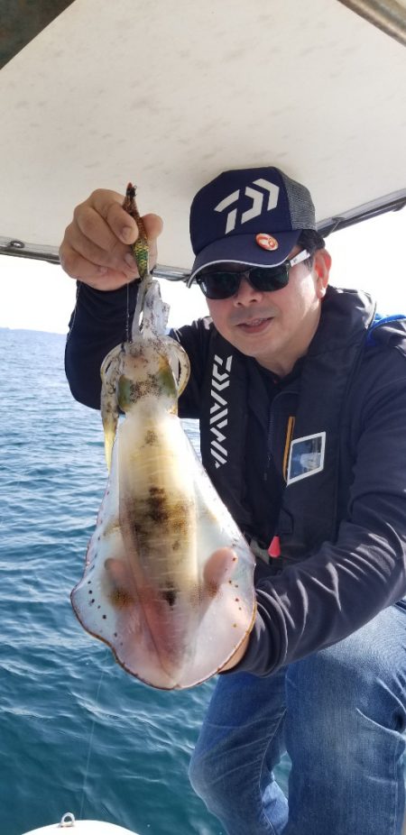 ソルトウォーターガイドフレンズ 釣果