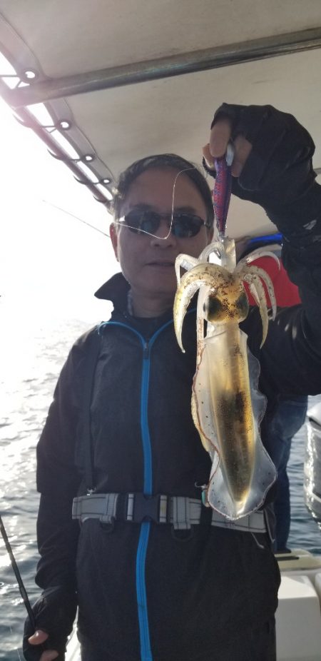 ソルトウォーターガイドフレンズ 釣果