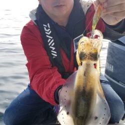 ソルトウォーターガイドフレンズ 釣果