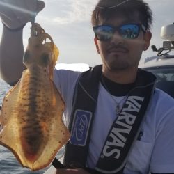 ソルトウォーターガイドフレンズ 釣果