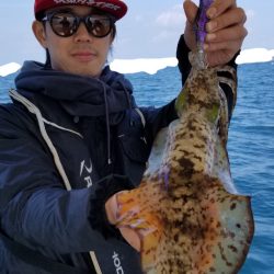 ソルトウォーターガイドフレンズ 釣果