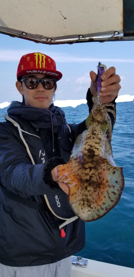 ソルトウォーターガイドフレンズ 釣果