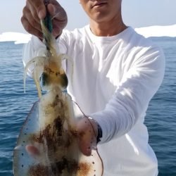 ソルトウォーターガイドフレンズ 釣果