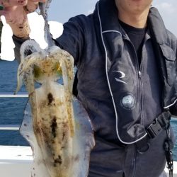 ソルトウォーターガイドフレンズ 釣果