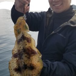 ソルトウォーターガイドフレンズ 釣果