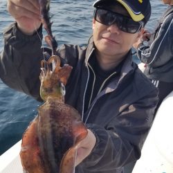 ソルトウォーターガイドフレンズ 釣果