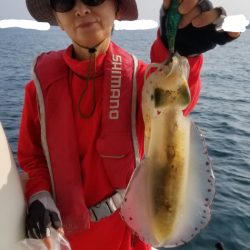 ソルトウォーターガイドフレンズ 釣果