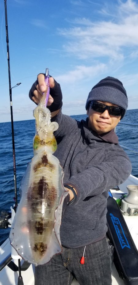 ソルトウォーターガイドフレンズ 釣果