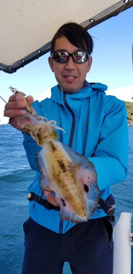 ソルトウォーターガイドフレンズ 釣果