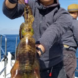 ソルトウォーターガイドフレンズ 釣果