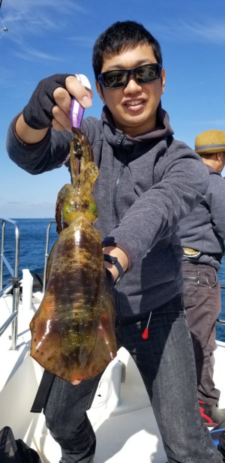 ソルトウォーターガイドフレンズ 釣果