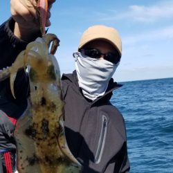 ソルトウォーターガイドフレンズ 釣果