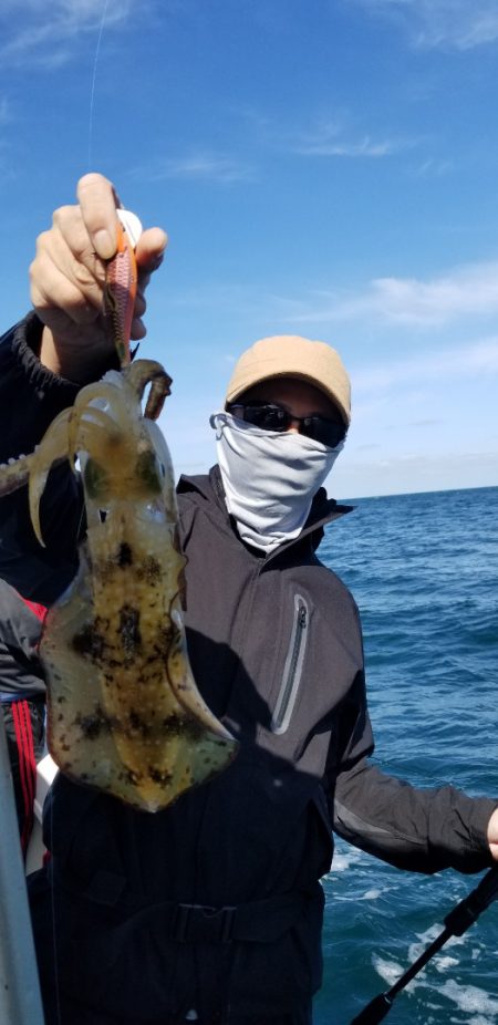 ソルトウォーターガイドフレンズ 釣果