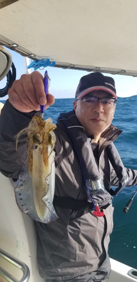 ソルトウォーターガイドフレンズ 釣果