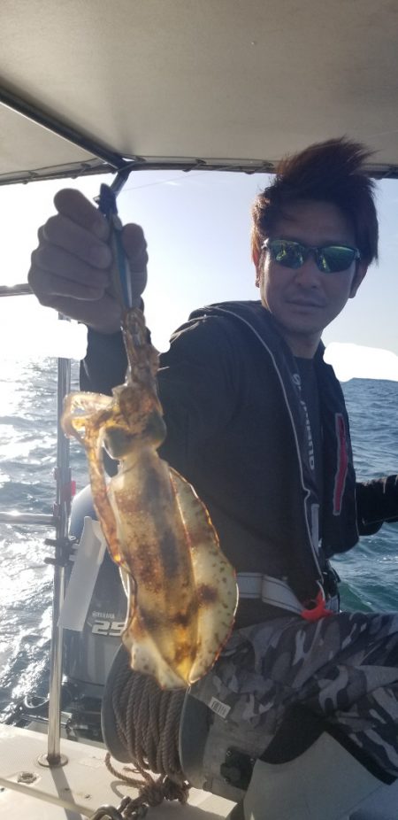 ソルトウォーターガイドフレンズ 釣果