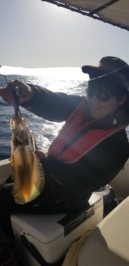 ソルトウォーターガイドフレンズ 釣果