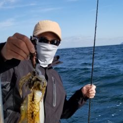 ソルトウォーターガイドフレンズ 釣果