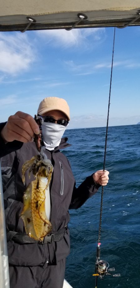 ソルトウォーターガイドフレンズ 釣果