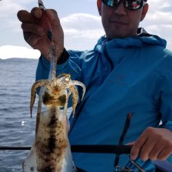 ソルトウォーターガイドフレンズ 釣果