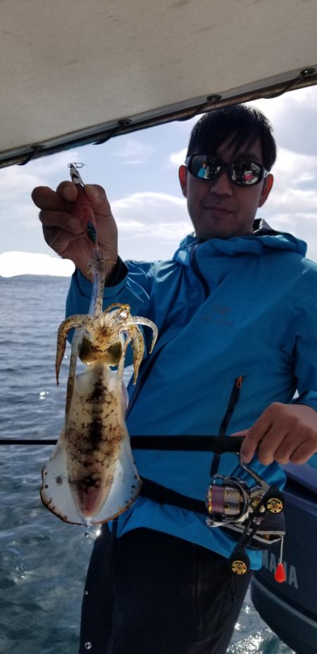 ソルトウォーターガイドフレンズ 釣果