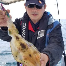 ソルトウォーターガイドフレンズ 釣果