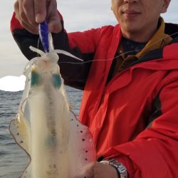 ソルトウォーターガイドフレンズ 釣果