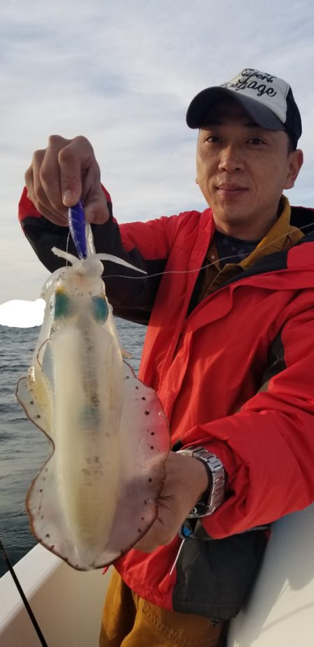 ソルトウォーターガイドフレンズ 釣果