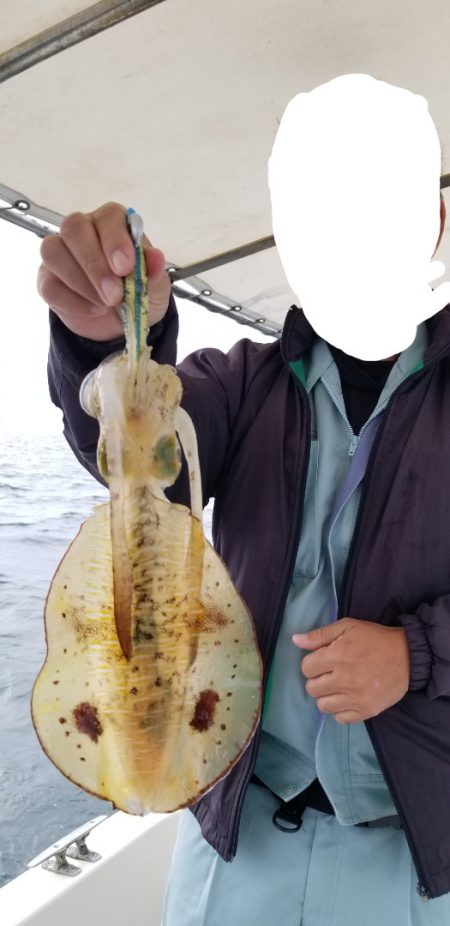 ソルトウォーターガイドフレンズ 釣果