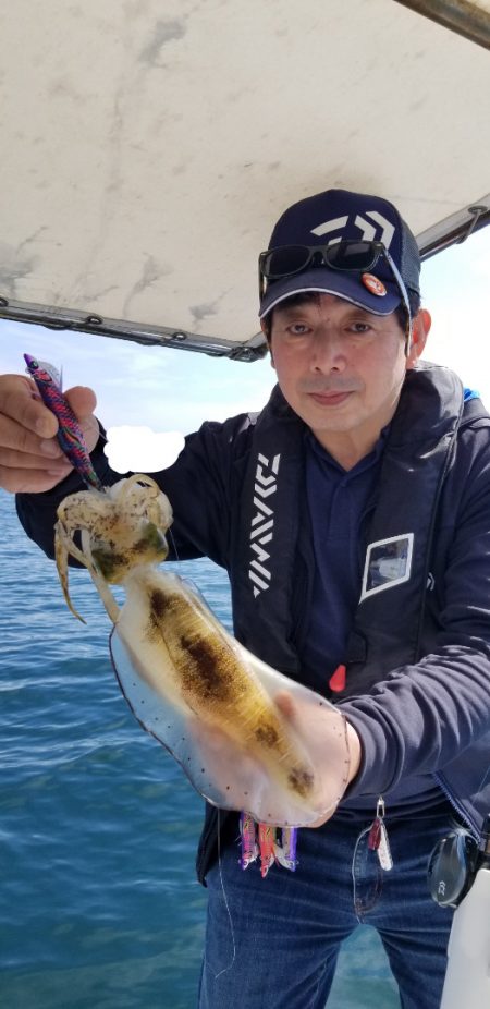 ソルトウォーターガイドフレンズ 釣果